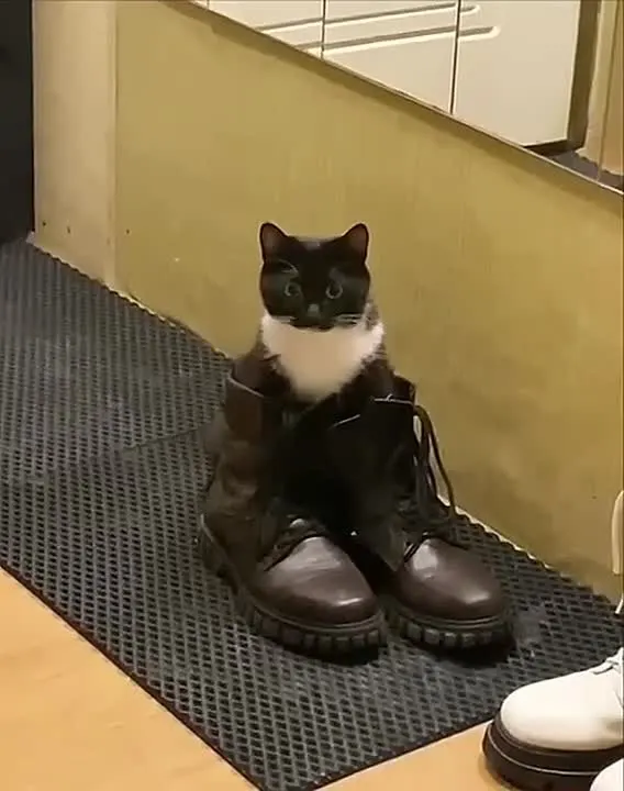 Обложка видео