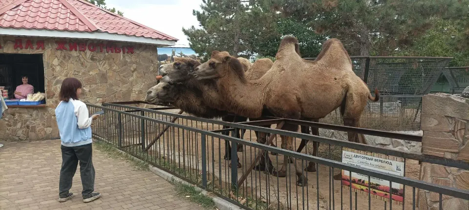 Фото из поста