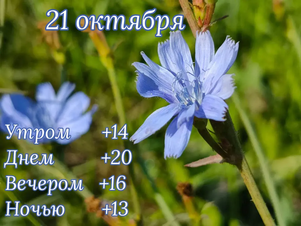 Фото из поста