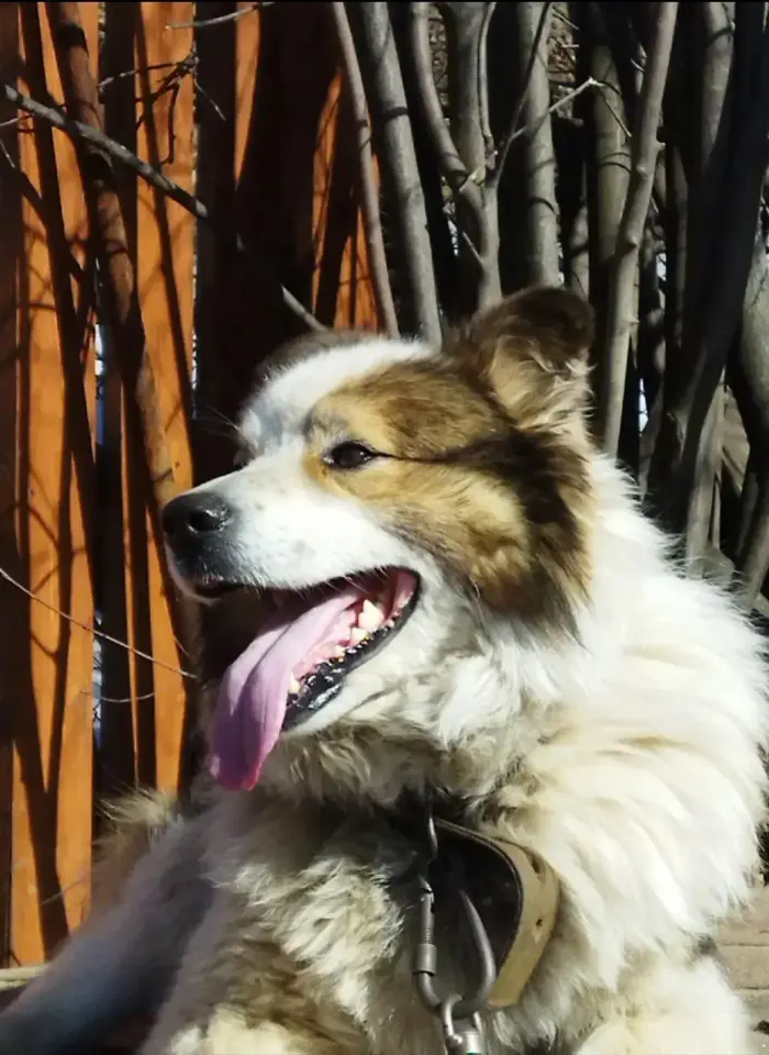 Фото из поста