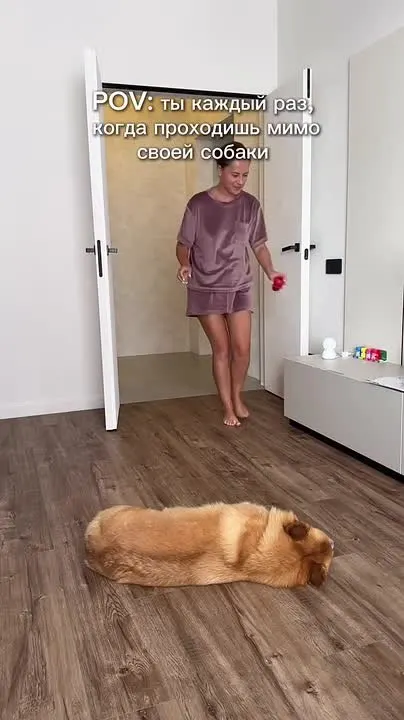 Обложка видео
