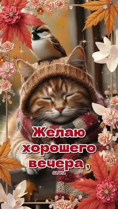 Обложка видео