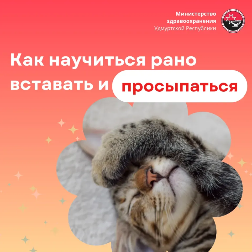 Фото из поста