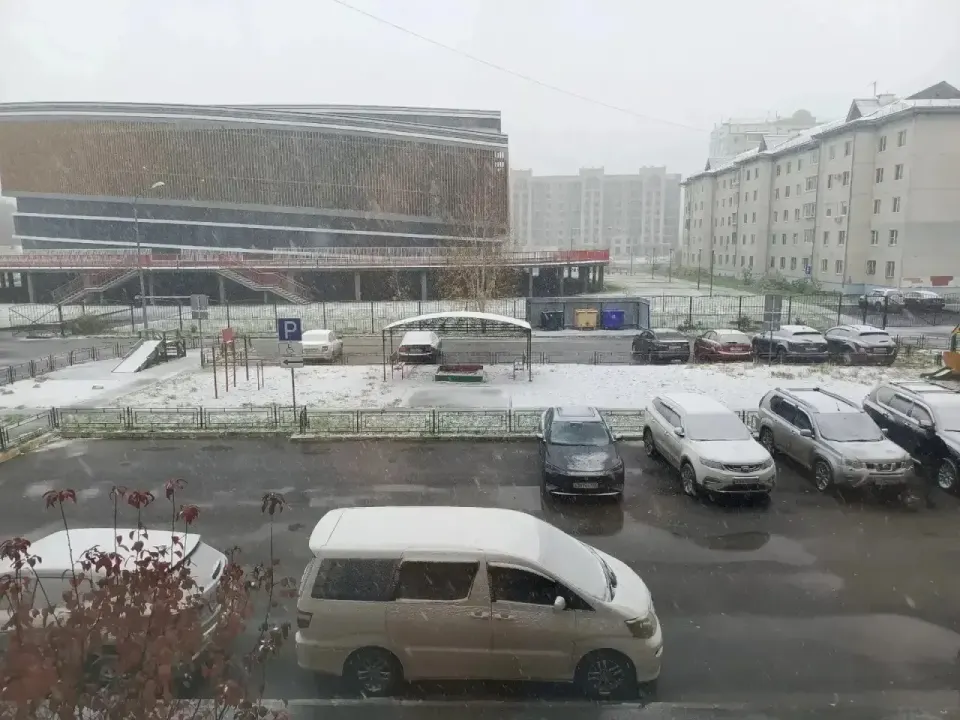 Фото из поста