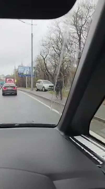 Обложка видео
