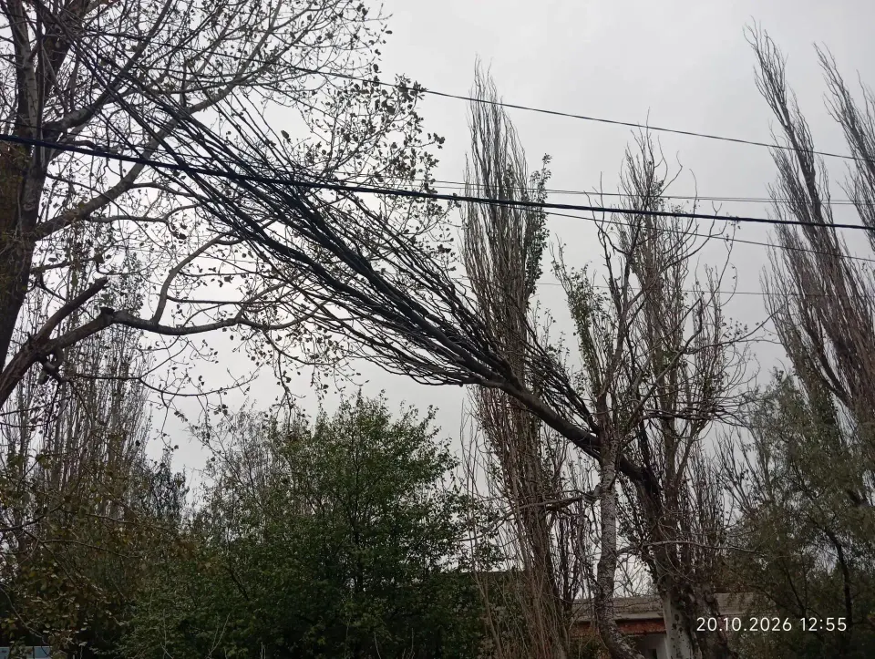 Фото из поста