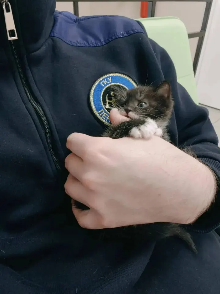 Фото из поста