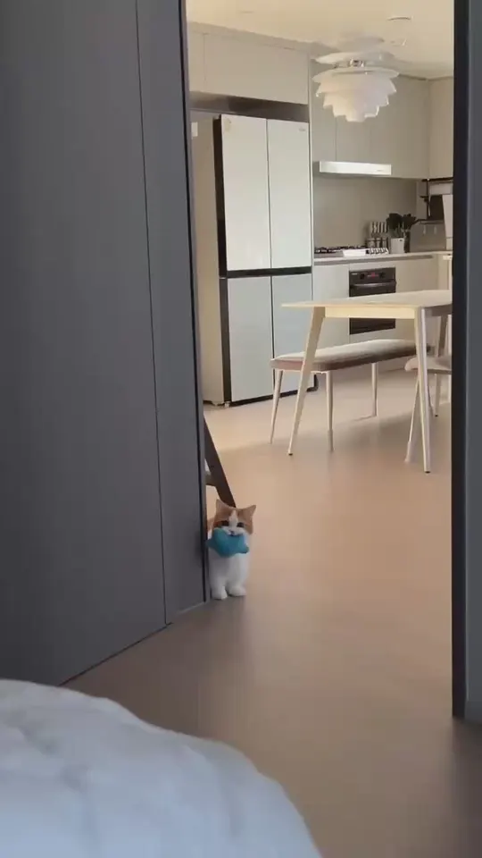Обложка видео