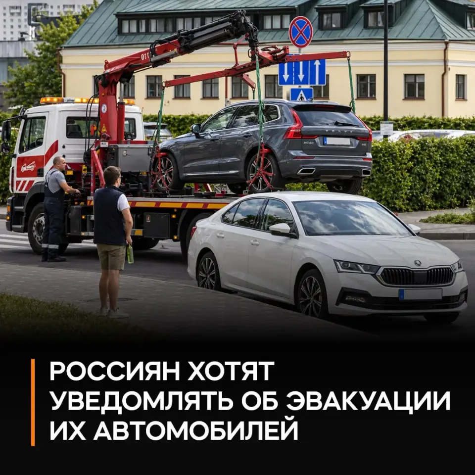 Фото из поста
