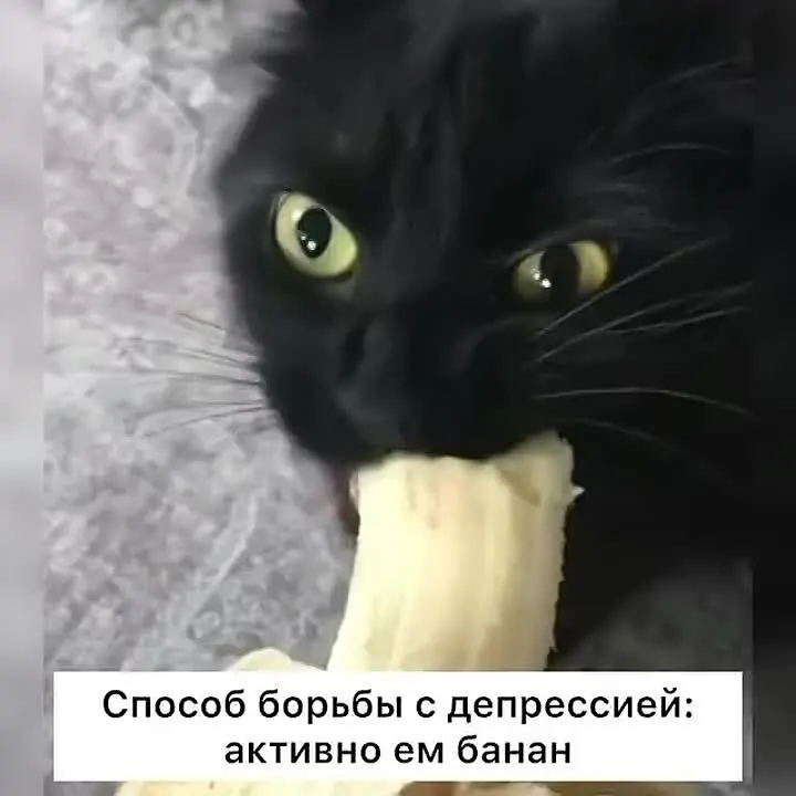 Обложка видео