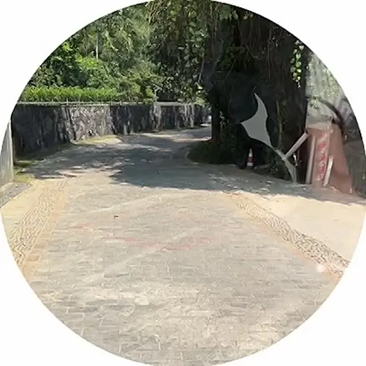 Обложка видео