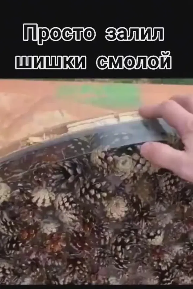 Обложка видео