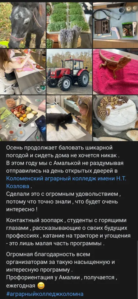 Фото из поста