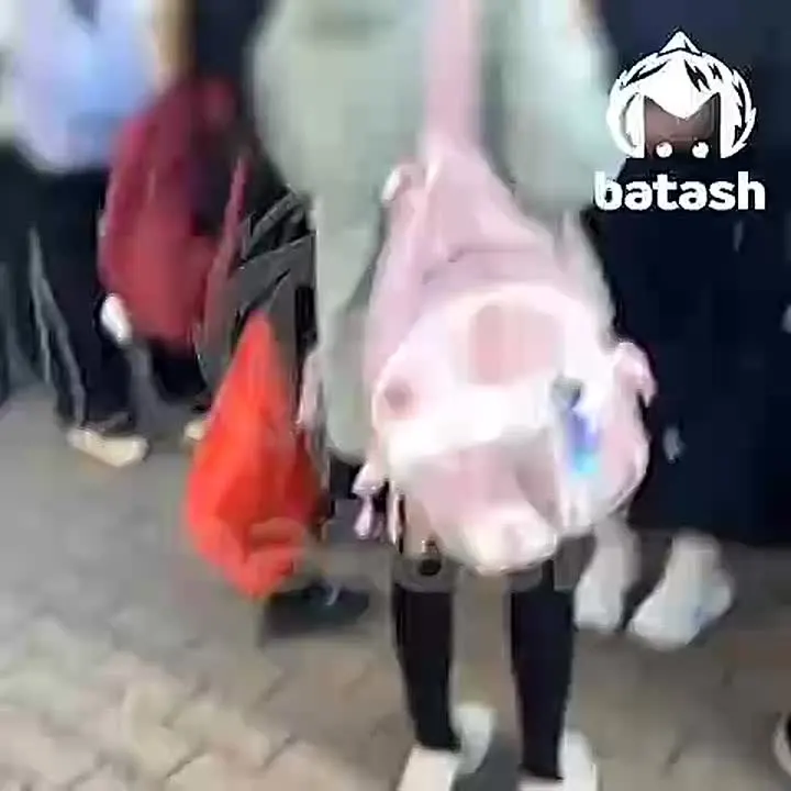 Обложка видео