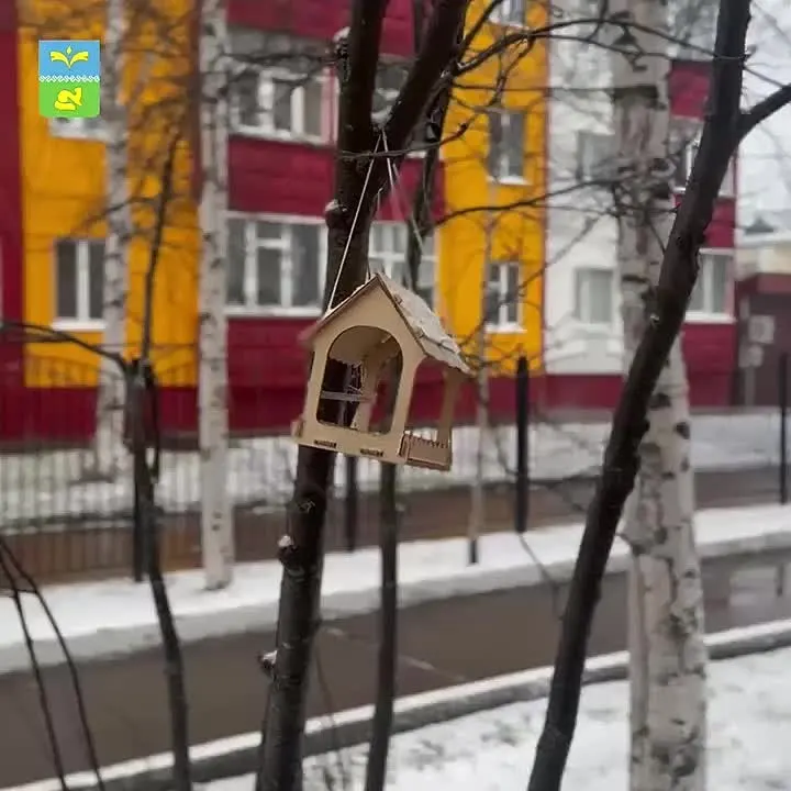 Обложка видео