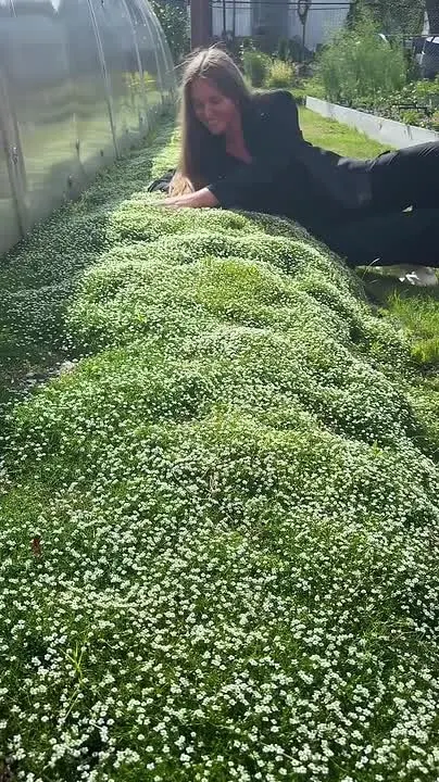 Обложка видео