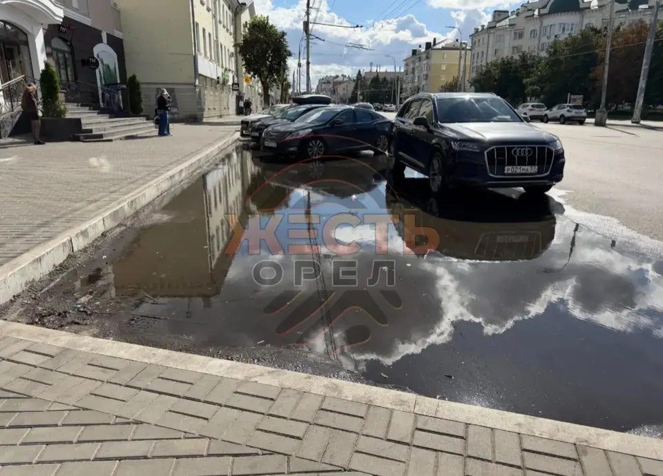 Фото из поста