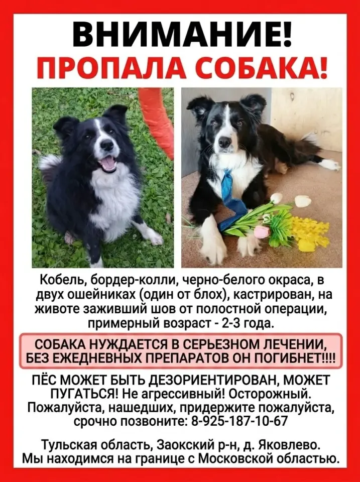 Фото из поста