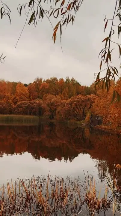 Обложка видео