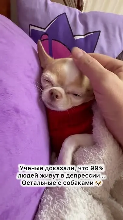 Обложка видео