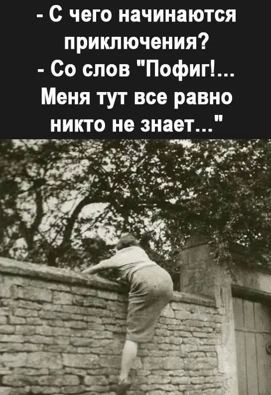 Фото из поста
