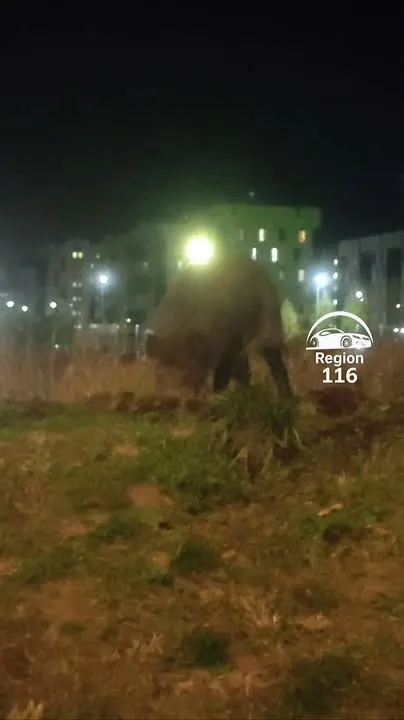 Обложка видео