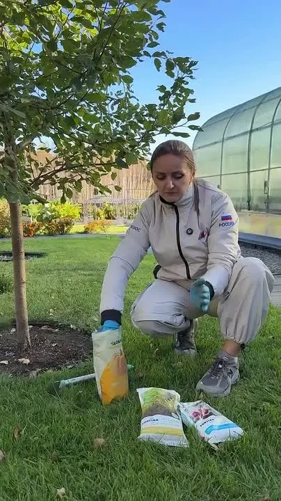 Обложка видео