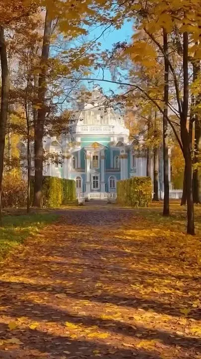 Обложка видео