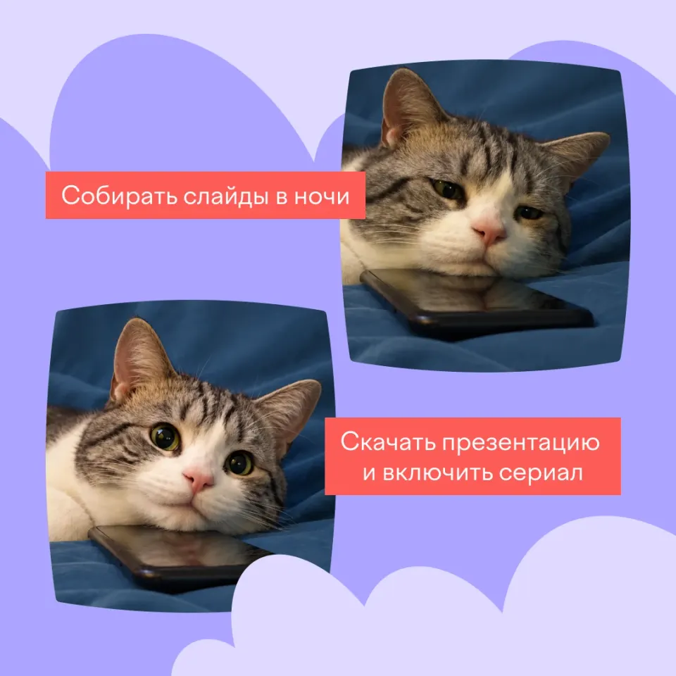 Фото из поста