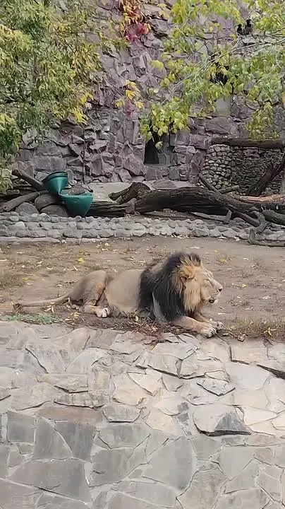 Обложка видео
