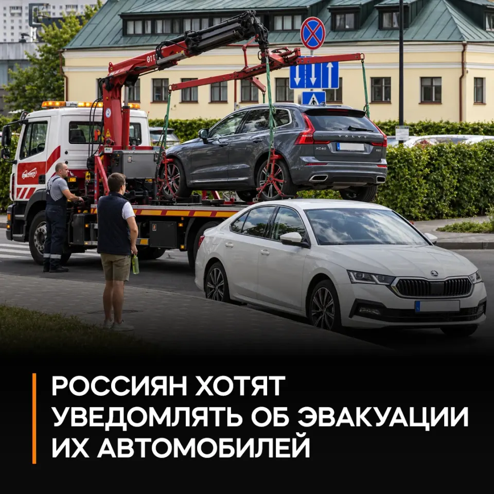 Фото из поста