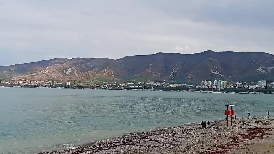 Обложка видео
