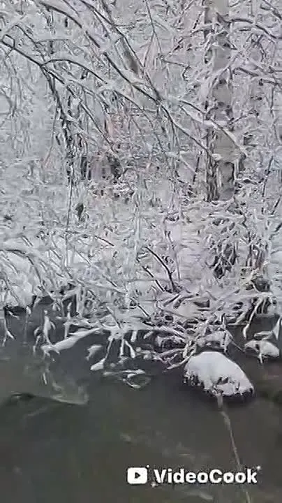 Обложка видео