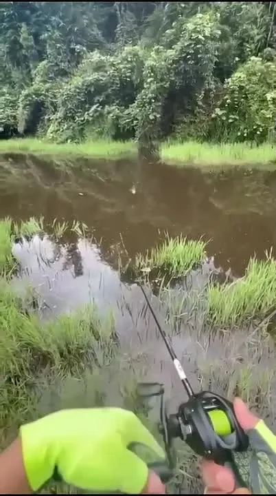 Обложка видео