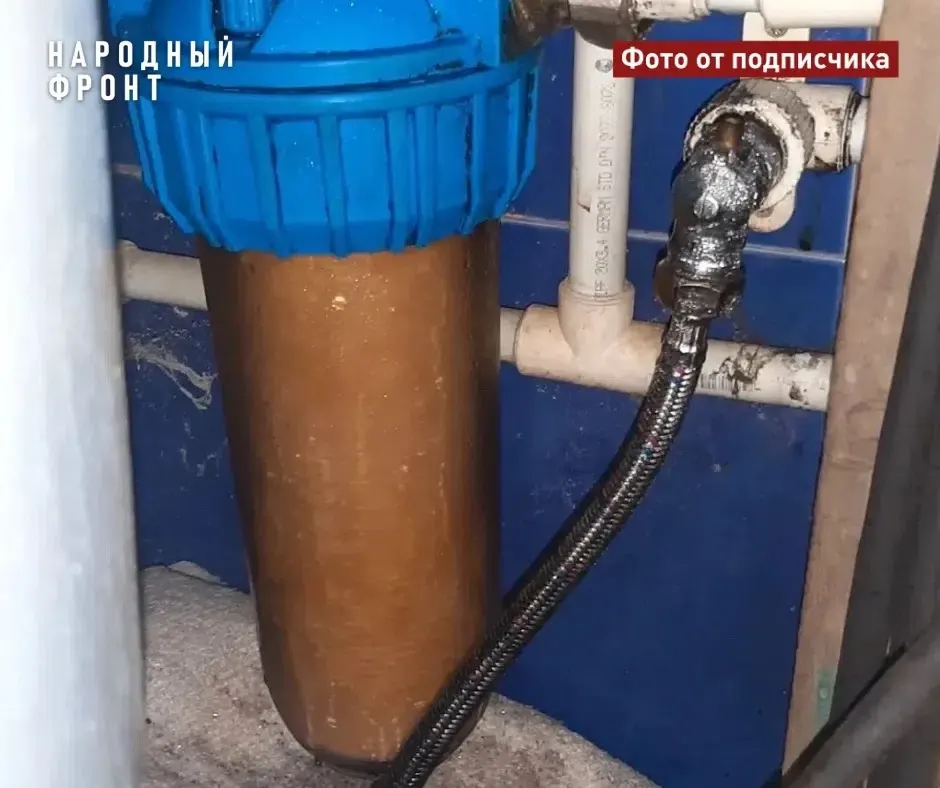 Фото из поста
