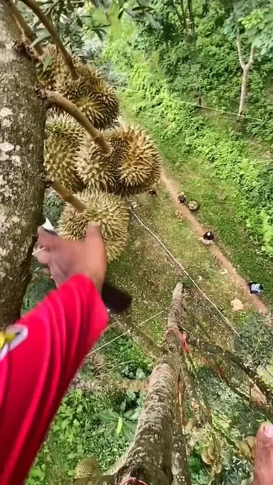 Обложка видео