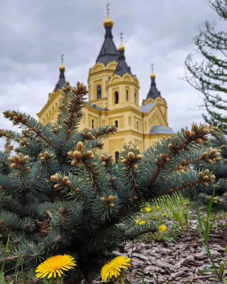 Фото из поста