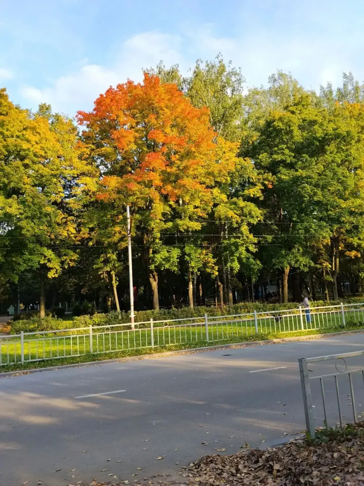Фото из поста