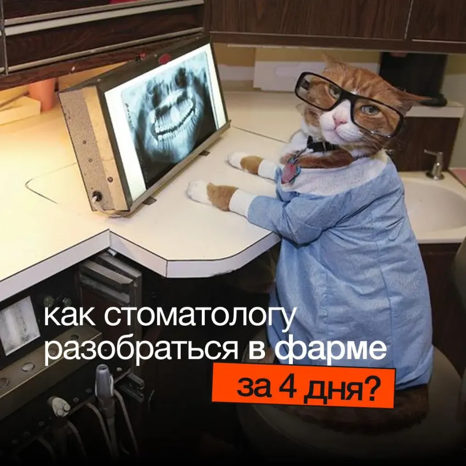 Фото из поста