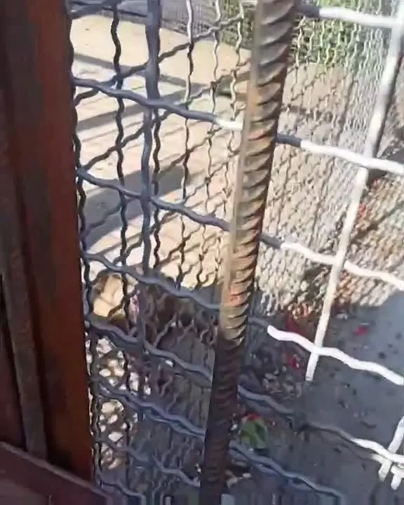 Обложка видео