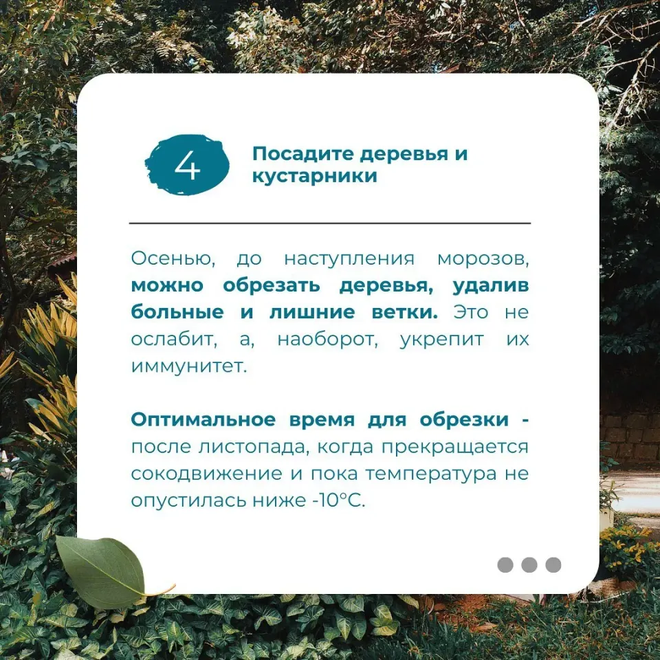 Фото из поста