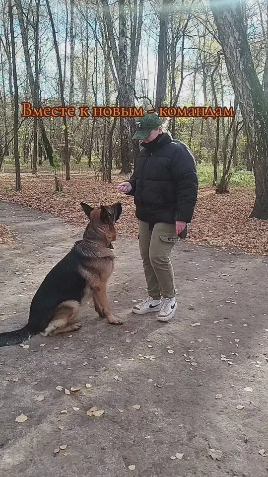 Обложка видео