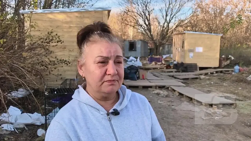 Обложка видео