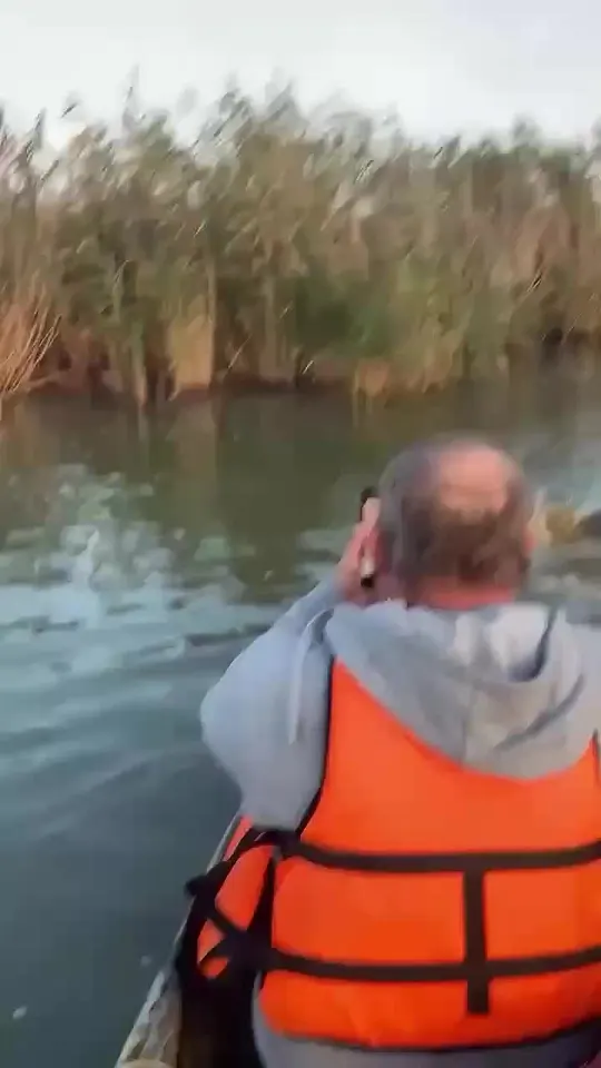 Обложка видео