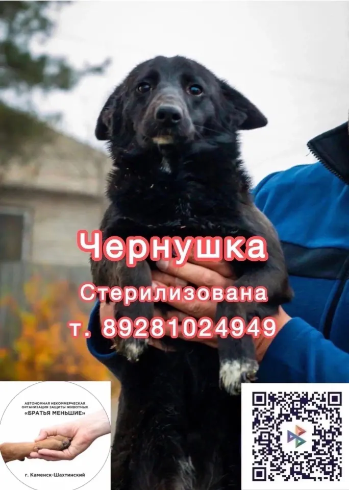 Фото из поста