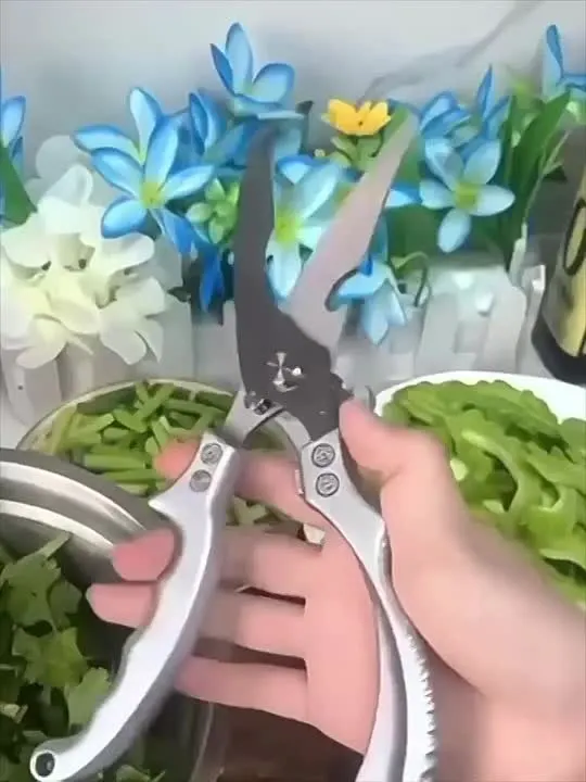 Обложка видео