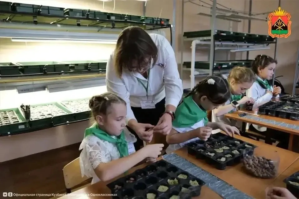 Фото из поста