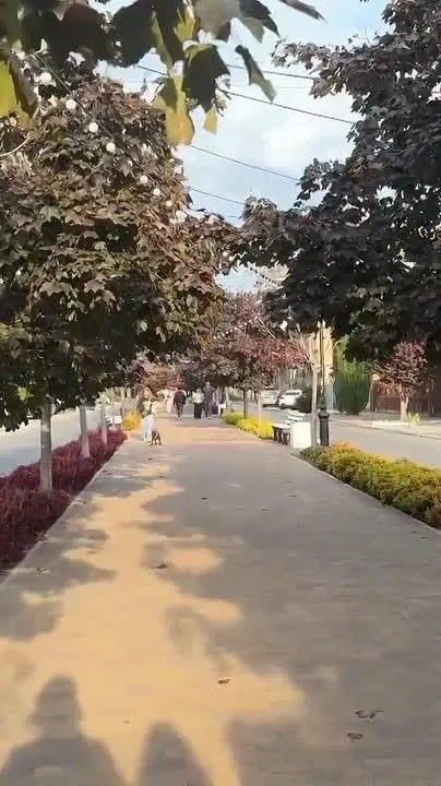 Обложка видео