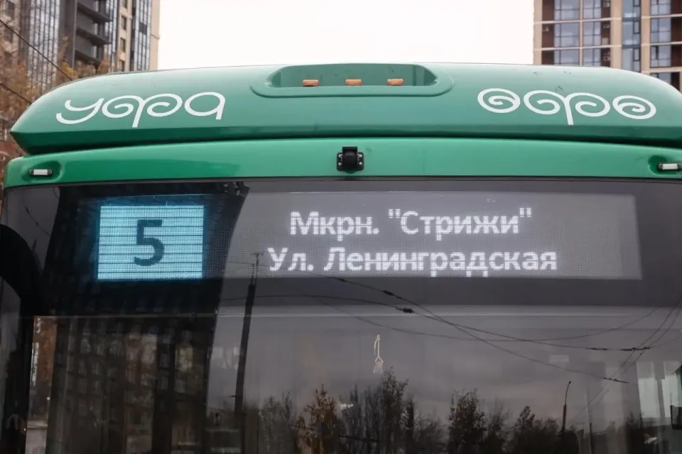 Фото из поста