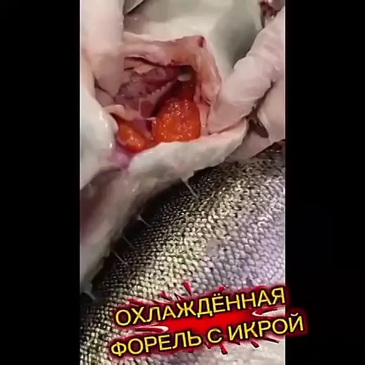 Обложка видео